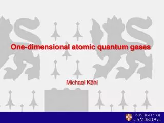 One-dimensional atomic quantum gases