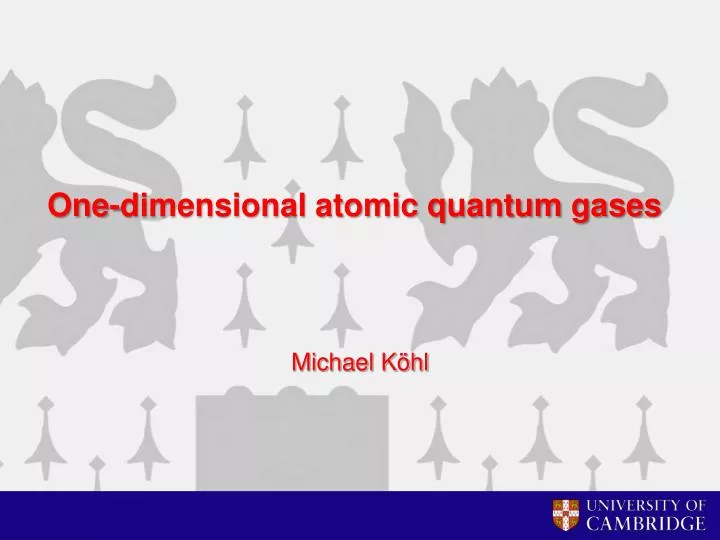 one dimensional atomic quantum gases