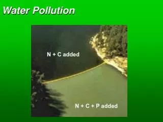 Water Pollution