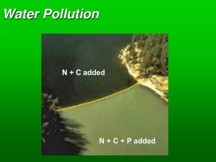 water pollution