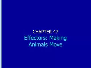CHAPTER 47 Effectors: Making Animals Move