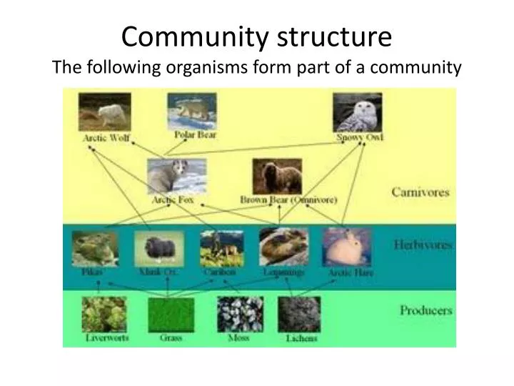 community structure the following organisms form part of a community