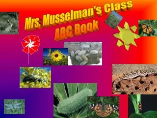 Mrs. Musselman's Class ABC Book