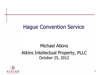 Hague Convention Service
