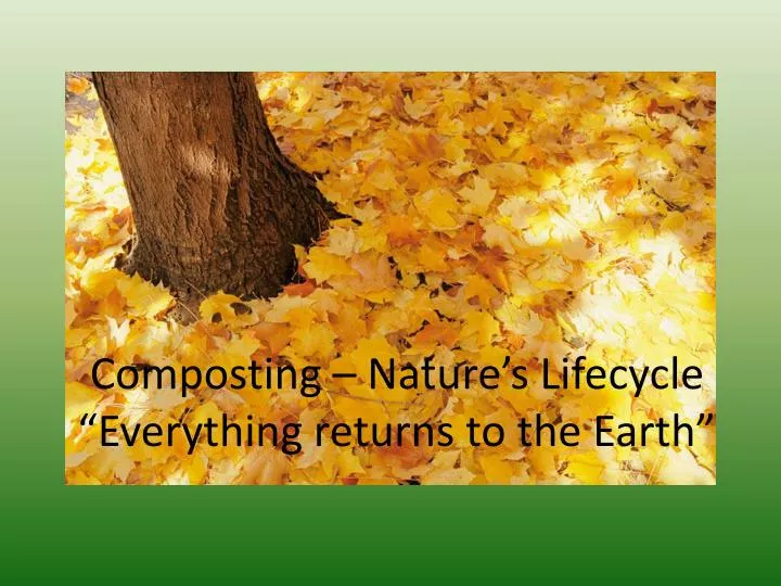composting nature s lifecycle everything returns to the earth