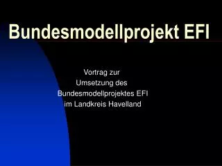 Bundesmodellprojekt EFI