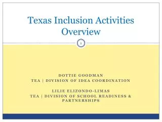 Texas Inclusion Activities Overview