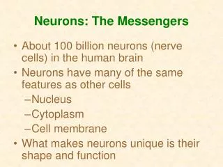 Neurons: The Messengers