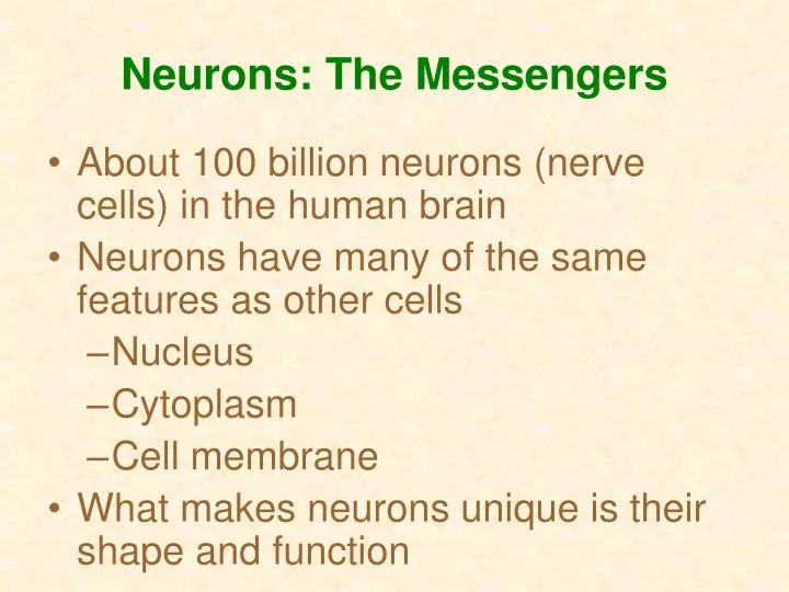 neurons the messengers