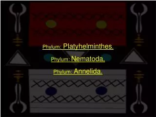Phylum: Platyhelminthes , Phylum: Nematoda, Phylum: Annelida.