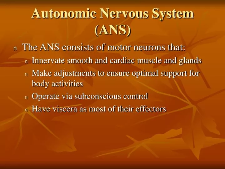 autonomic nervous system ans