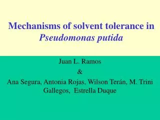 Mechanisms of solvent tolerance in Pseudomonas putida