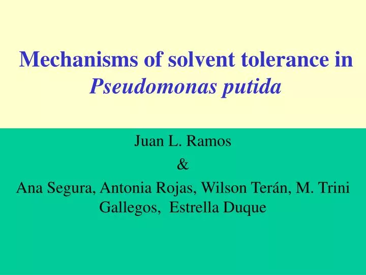 mechanisms of solvent tolerance in pseudomonas putida