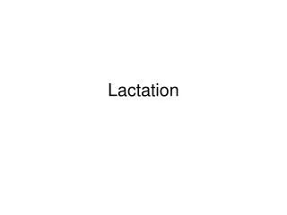 Lactation