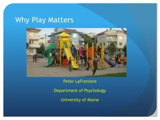 Why Play Matters