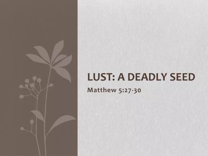 lust a deadly seed