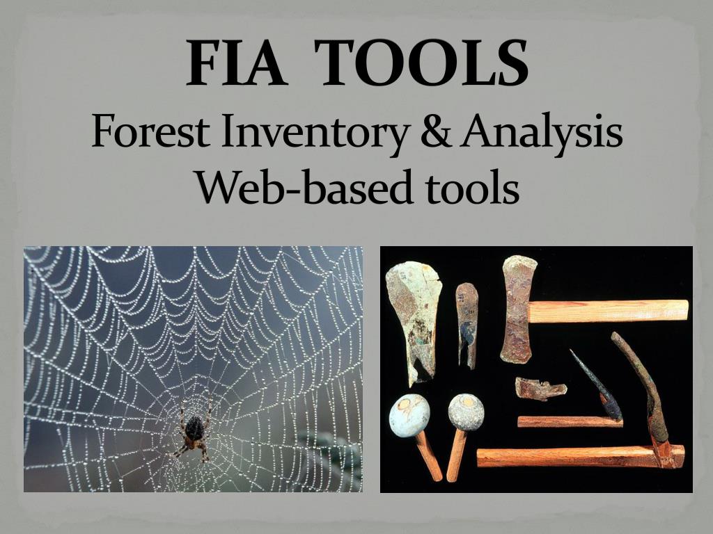 PPT - FIA TOOLS Forest Inventory & Analysis Web-based tools PowerPoint ...