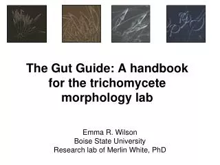The Gut Guide: A handbook for the trichomycete morphology lab
