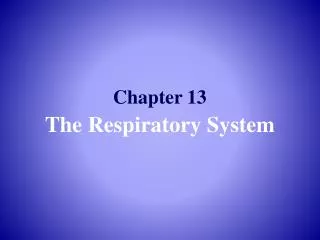 Chapter 13 The Respiratory System