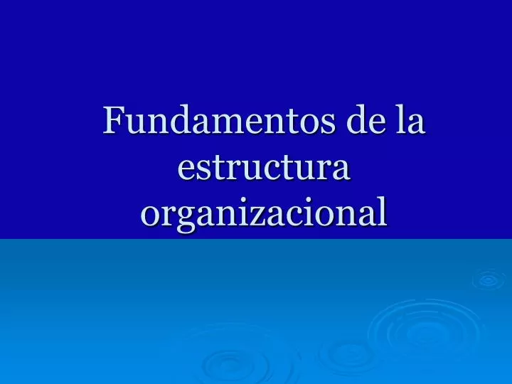 fundamentos de la estructura organizacional