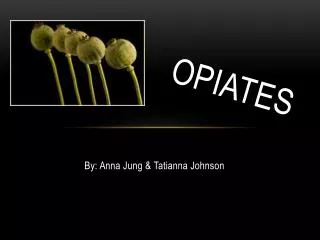 Opiates