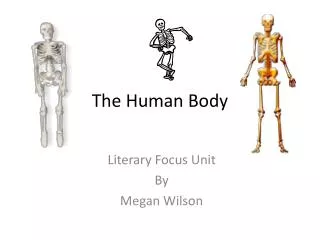 The Human Body