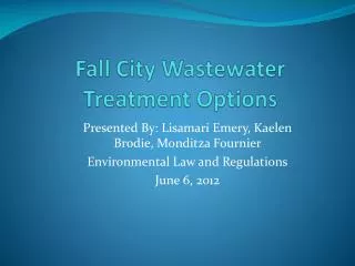 Fall City Wastewater Treatment Options
