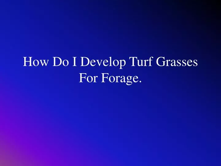 how do i develop turf grasses for forage