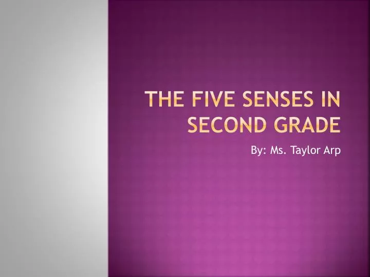 the five senses in second grade