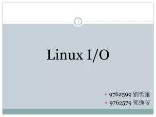 Linux I/O