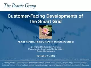 Customer-Facing Developments of the Smart Grid Ahmad Faruqui, Philip Q Hanser, and Sanem Sergici