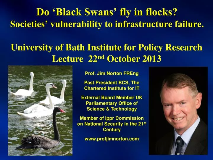 do black swans fly in flocks societies vulnerability to infrastructure failure
