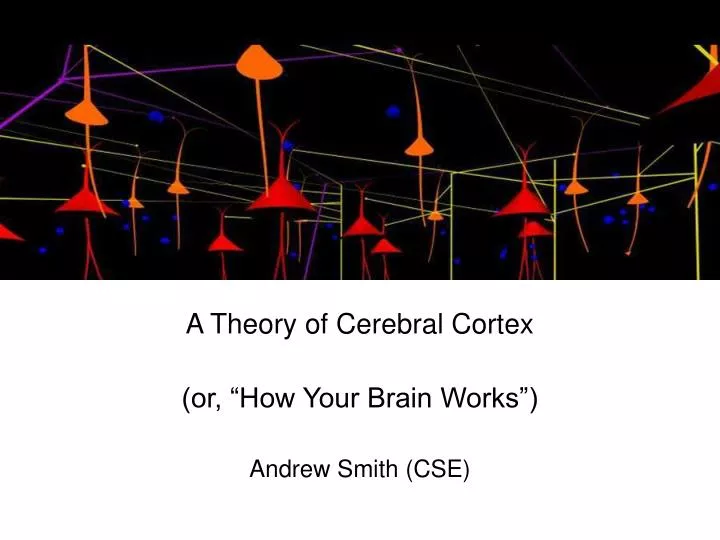 a theory of cerebral cortex or how your brain works andrew smith cse