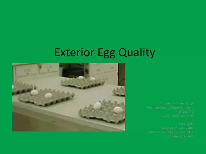 exterior egg quality