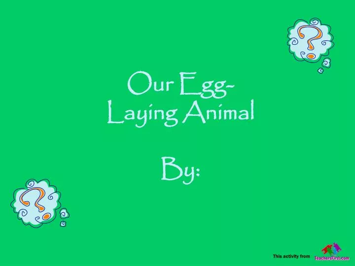 our egg laying animal by