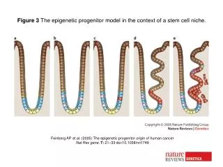 Feinberg AP et al. (2005) The epigenetic progenitor origin of human cancer