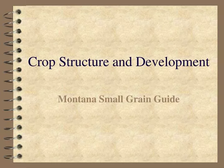 crop structure and development