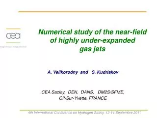 Numerical study of the near-field of highly under-expanded gas jets