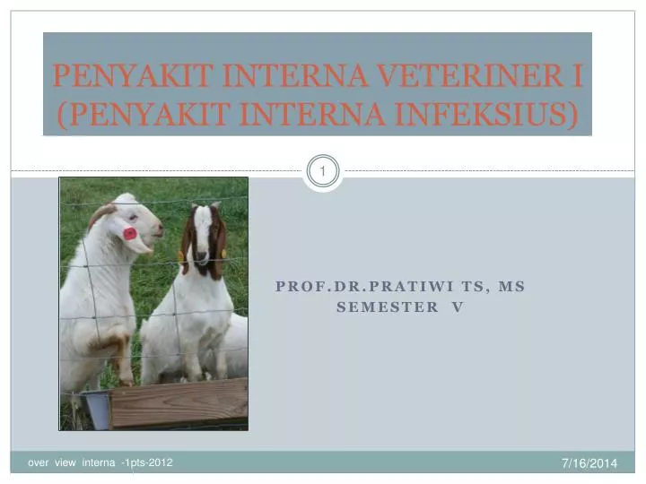 penyakit interna veteriner i penyakit interna infeksius