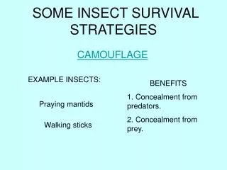 SOME INSECT SURVIVAL STRATEGIES