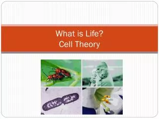 What is Life? Cell Theory