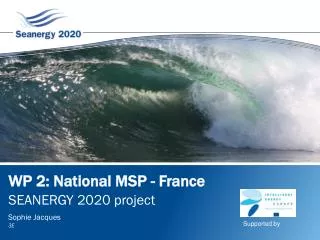 WP 2: National MSP - France