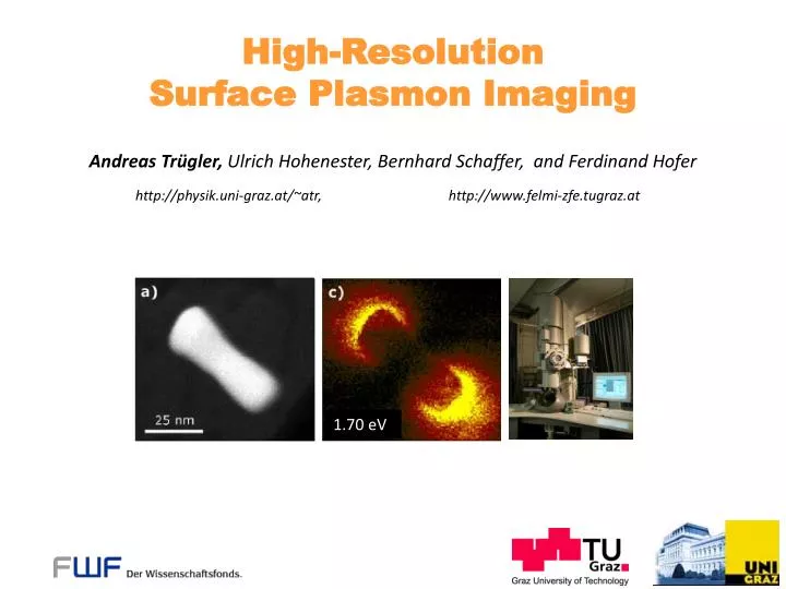 high resolution surface plasmon imaging