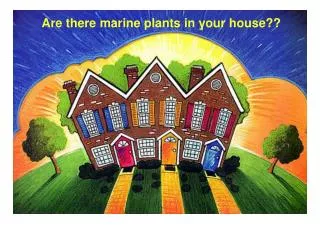 Are there marine plants in your house??