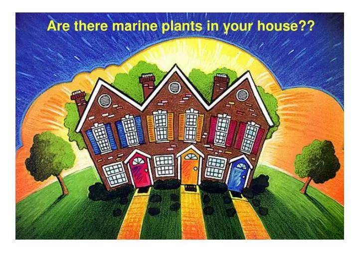 are there marine plants in your house