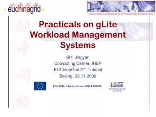 Practicals on gLite Workload Management Systems