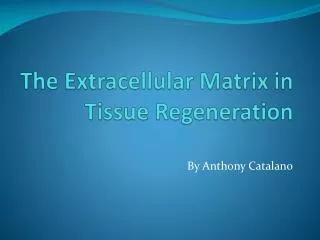 The Extracellular Matrix in Tissue Regeneration