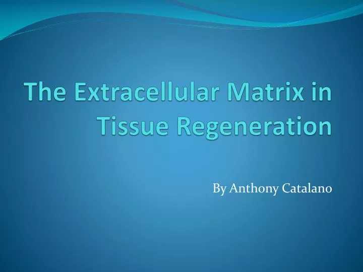 the extracellular matrix in tissue regeneration