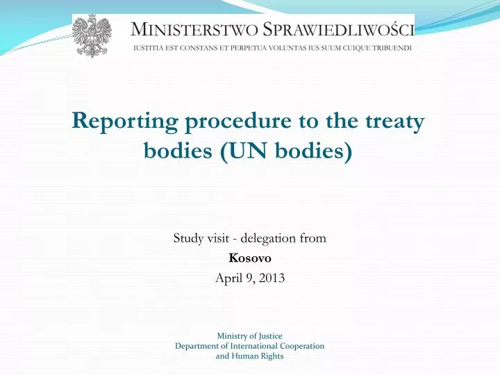 reporting procedure to the treaty bodies un bodies