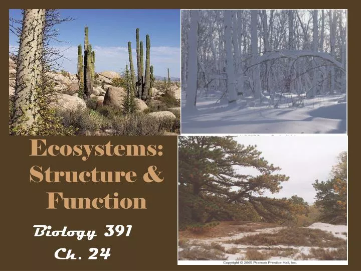 ecosystems structure function